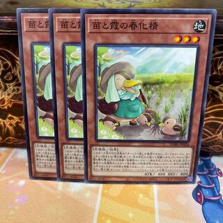 No.1509 P-ya Seedling and Kasumi no vernalization spirit [no