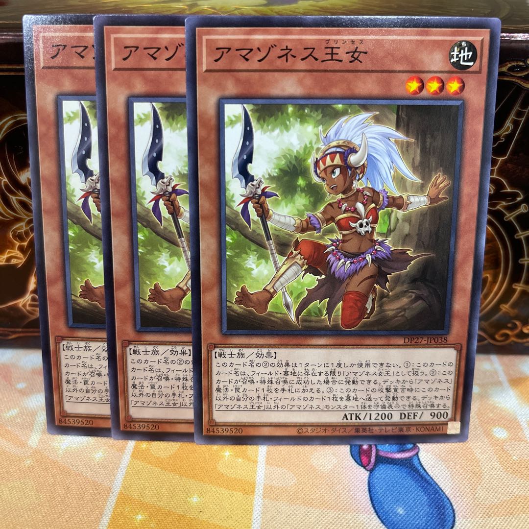 No.1517 P屋 Amazoness Princess [no