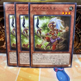 No.1517 P屋 Amazoness Princess [no