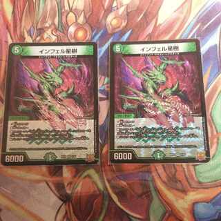 Infelix star tree (species of sedge, Infelix infelix)