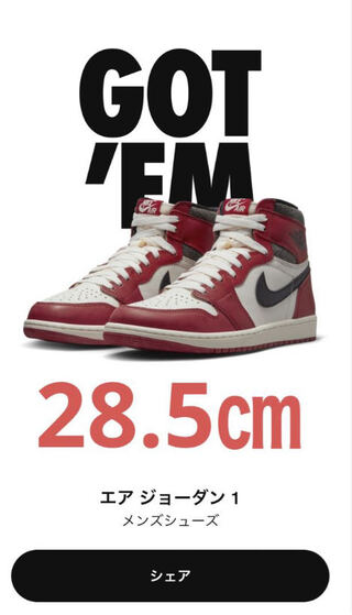Nike Air Jordan 1 Retro High OG Chicago 28.5cm