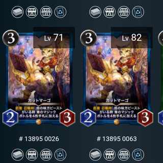 ガットマーゴ 2枚