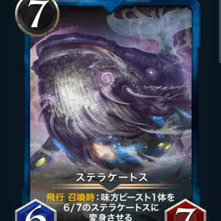 ステラケートス2枚