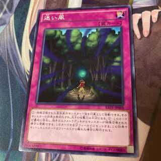 迷い風 ノーマル JP068