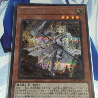 教導の聖女エクレシア SE シク