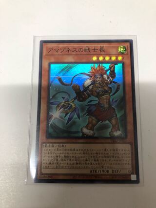 Warrior Chief of Amazones Super Rare JP032