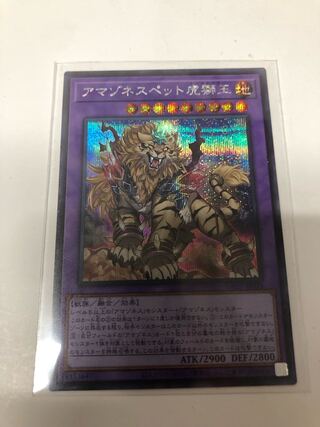 アマゾネスペット虎獅王 シークレットレア JP035