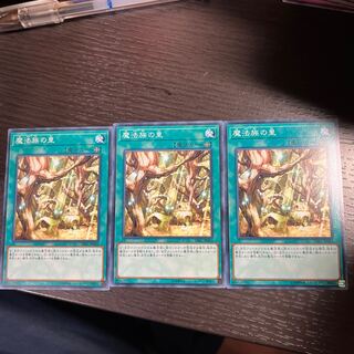 Secret Village of the Spellcasters Normal JP043