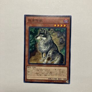 Aloof Lupine Normal rare JP030