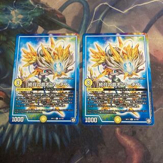 Will of Continued Calling MARCHIS 2 pieces