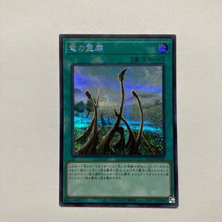 Dragon Shrine Secret Rare QCCP-JP194
