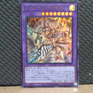 Popotan] King of Games #202 Mysterion the Dragon Crown Ultra