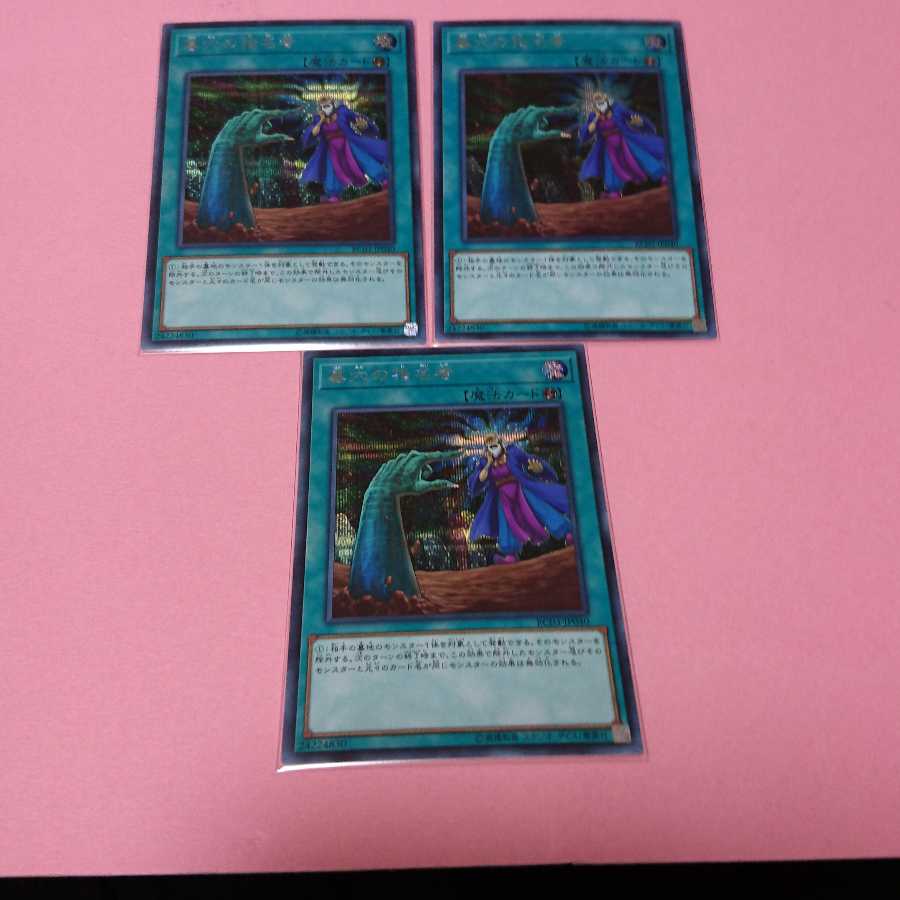 墓穴の指名者 シークレット ３枚