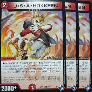 goa set discount U・S・A・HOKKEEN C 67/74