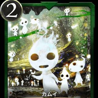 カムイ(スピなし)2枚 レベル30,28