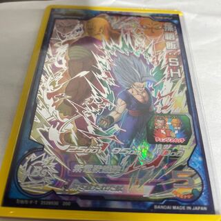 カツオ丼様専用