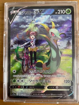 【美品】ジャローダV CSR 084/068