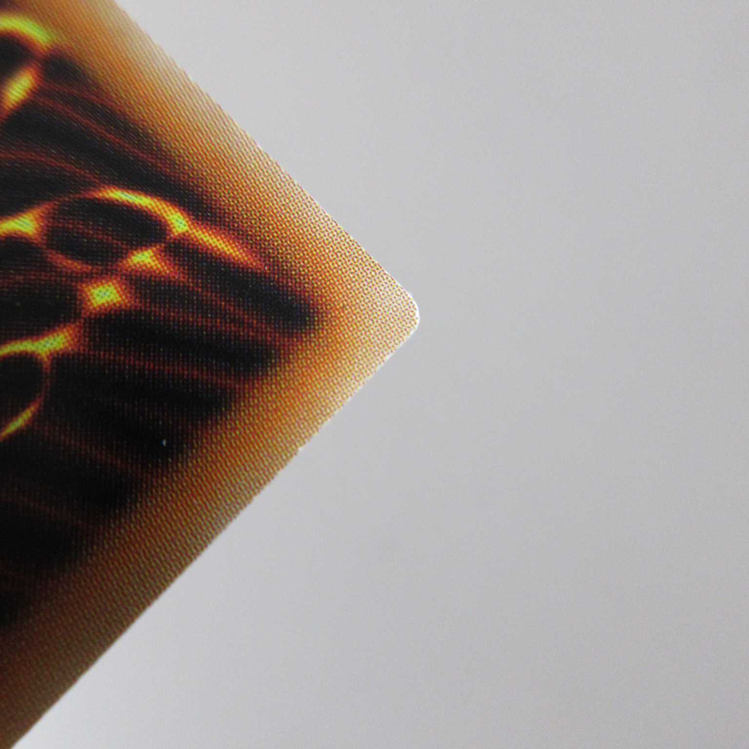 AG0424 遊戯王 RC03-JP010 灰流うらら