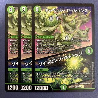 キャベッジ・セッションズ｜ソイルピンプ・キャベッジ 3枚