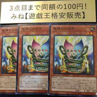 Sunseed Twin Normal JP030