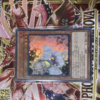 Ash Blossom & Joyous Spring (existing illustration) Ultra Rare JP010