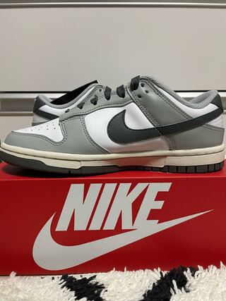 ナイキ ウィメンズ ダンク ロー "ホワイト/ライトスモークグレー/セイル/アイアングレー" DD1503-117 23cm