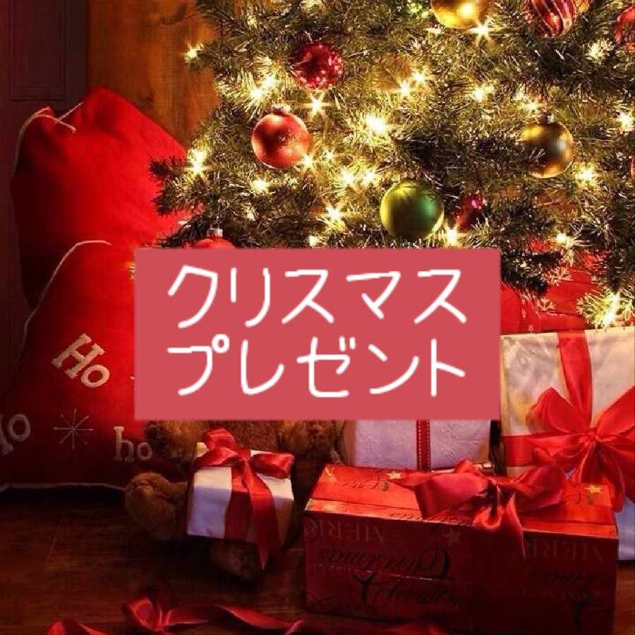 クリスマスミニプレゼント(福袋)