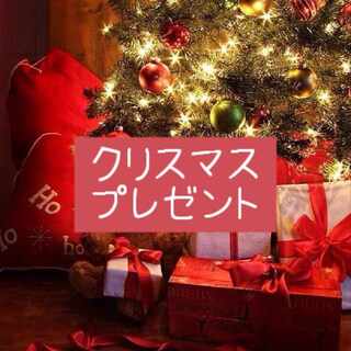 クリスマスミニプレゼント(福袋)