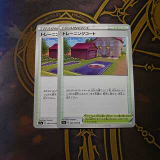 Training Court 180/190 Shiny Star V