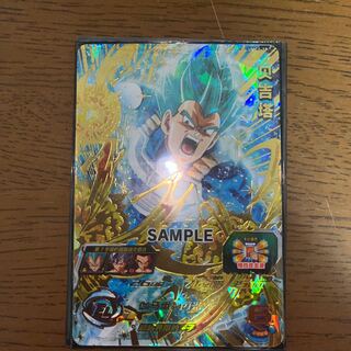 中国版ベジータサンプルカード