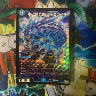 Waterjo Ninth Institute Shakogile SR S3/S9