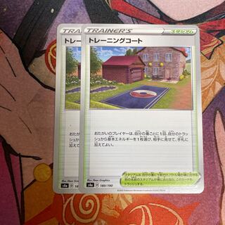 Training Court 180/190 2 sheets