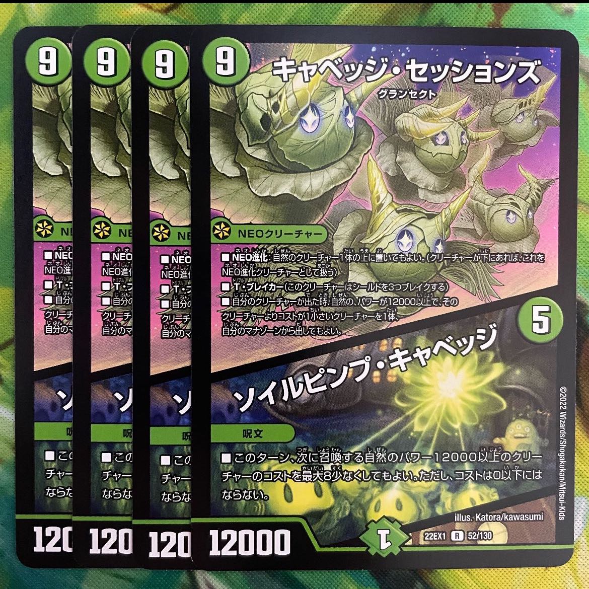 キャベッジ・セッションズ｜ソイルピンプ・キャベッジ R 52/130