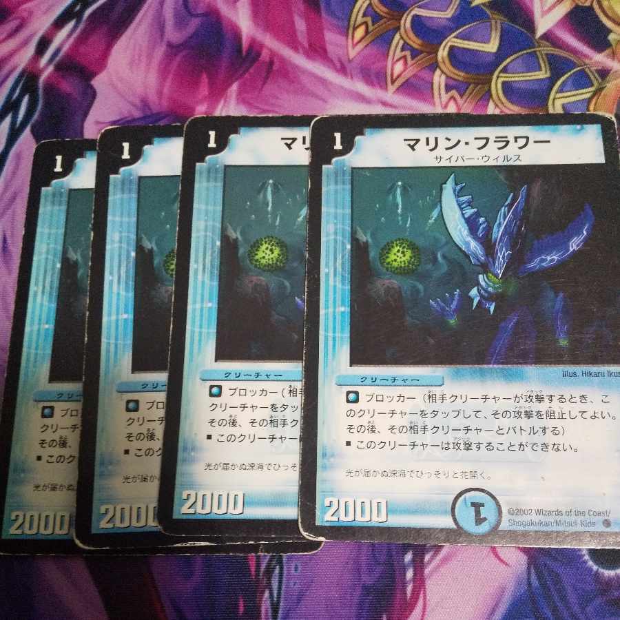 Marine Flower C 1枚