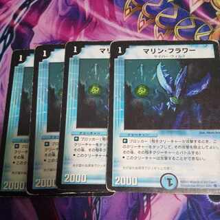 マリン・フラワー C  1枚