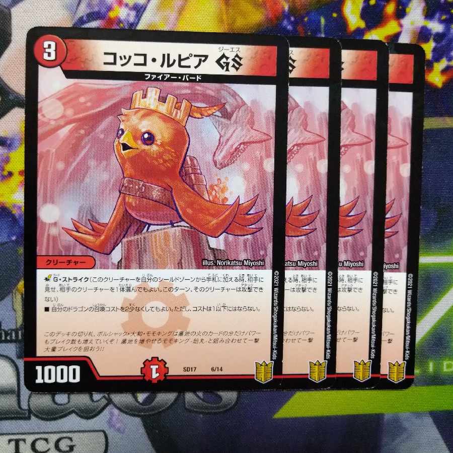 Cocco LupiaGS 6/14 2994