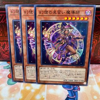 No.1295 P屋　幻想の見習い魔導師 【ノー】