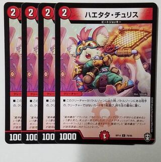 Haetata Chu Squirrel C 78/95