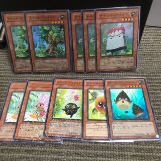 NaturSet NaturCliff NaturBataFly NaturCosmos NaturBambooShoot