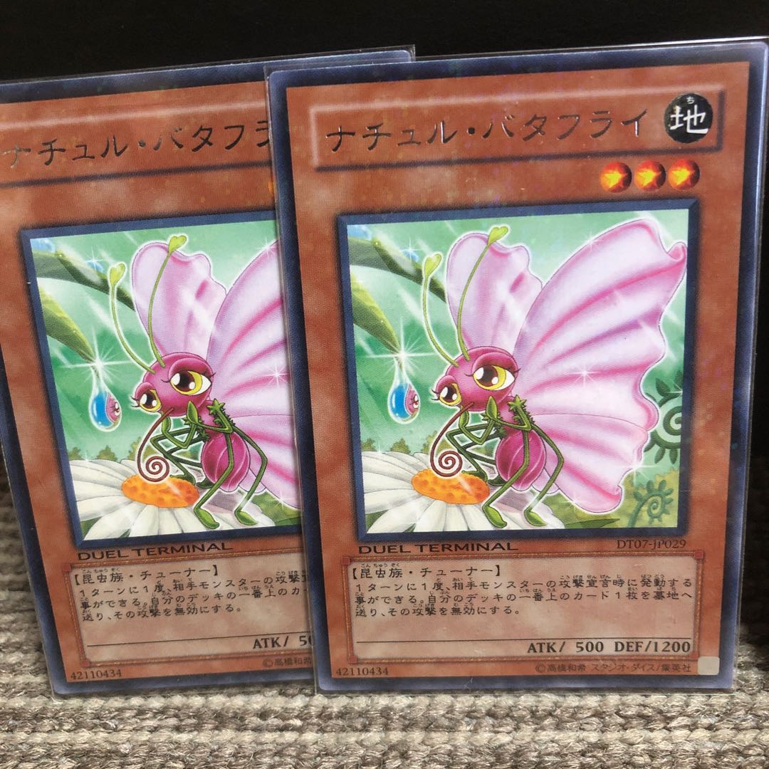 NaturSet NaturCliff NaturBataFly NaturCosmos NaturBambooShoot