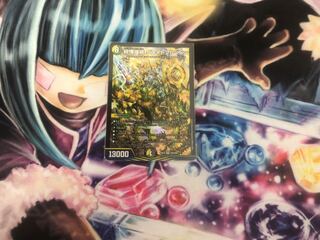 Shiver Connection Grateful Ben SR S20/S20