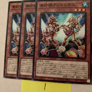 黄紡鮄デュオニギス ノーマル JP034