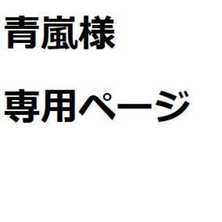 青嵐様専用ページ(赤) 1枚