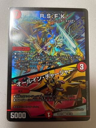 R.S.F.K.｜All-in Charger VR 30/130