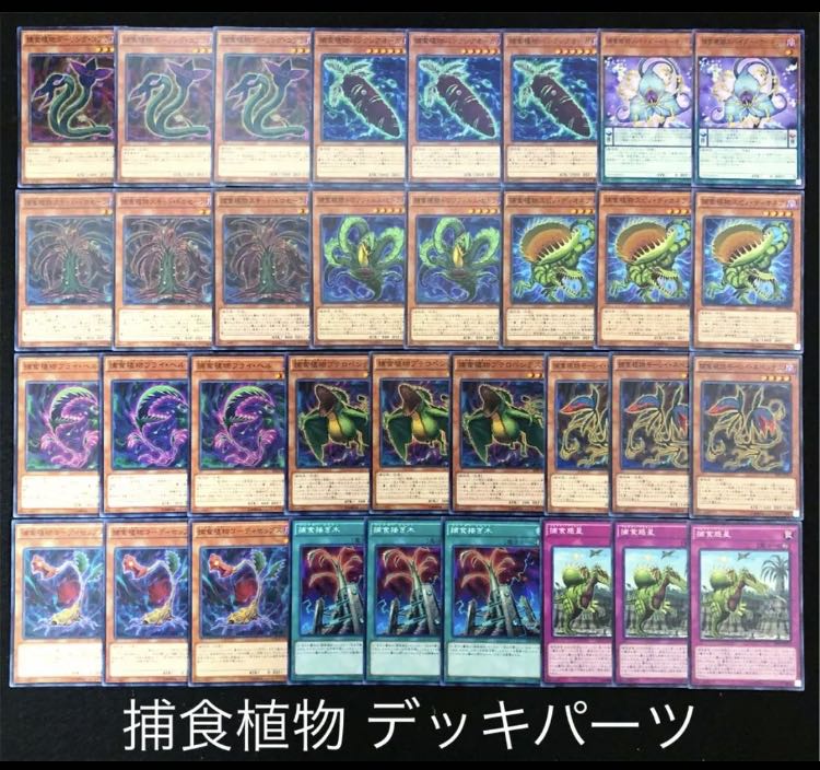 植物族 サーチ 遊戯王]植物族 - カードボックス 遊戯王 植物族テーマ
