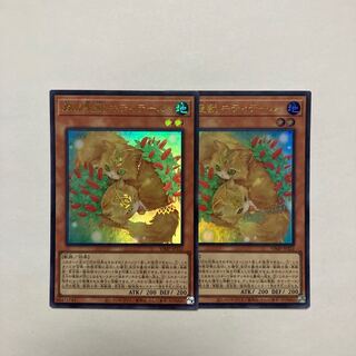 森の聖獣 キティテール ウルトラレア