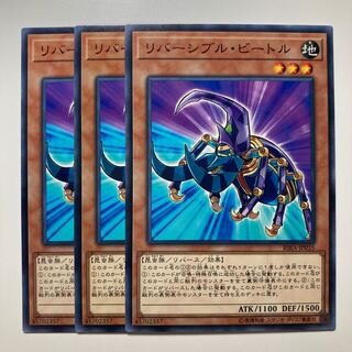 7440 リバーシブル・ビートル ノーマル JP035