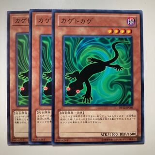 7455 カゲトカゲ ノーマル JP008