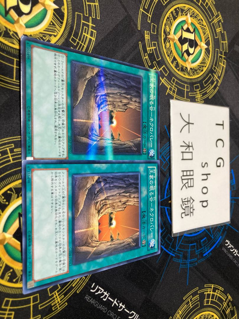 Valley of Sleep of Kings - Necro Valley Normal No-para Set of 2