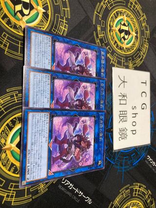 Donna, the Kukagidan's Pocket Sword, Rare JP049, set of 3, for play. 3枚